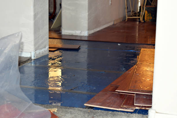 Professional Burst Pipe Cleanup technician working in Edgerton, MO